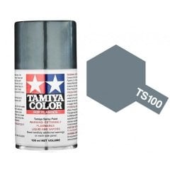 TS-100 SG Bright Gun Metal 100ml Spray