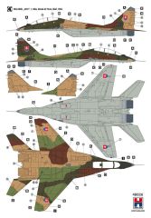 Mikoyan MiG-29UB Czech & Slovak Air Force