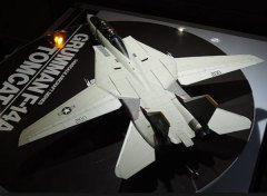 F-14A Tomcat