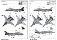F-14 D Tomcat