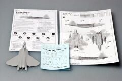 F-22A Raptor