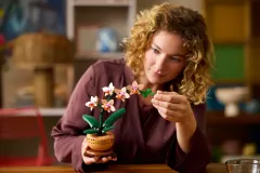 LEGO® Botanicals Mini Orkide