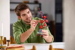 LEGO® Botanicals Erik Çiçeği