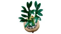 LEGO® Botanicals Şans Bambusu 10344