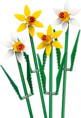 LEGO® Botanicals Nergis