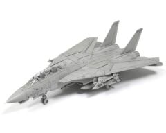 F-14 D Tomcat