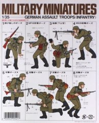 German Assault Troops