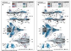 Russian Su-33UB Flanker D